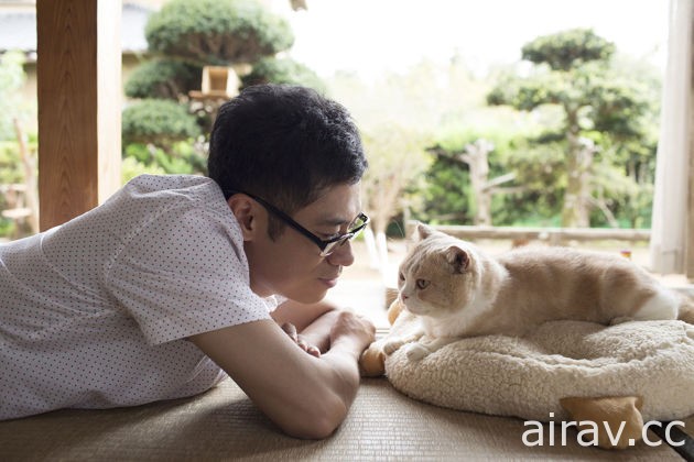 《猫咪收集》真人版电影将于明年上映 由《电车男》伊藤淳史主演