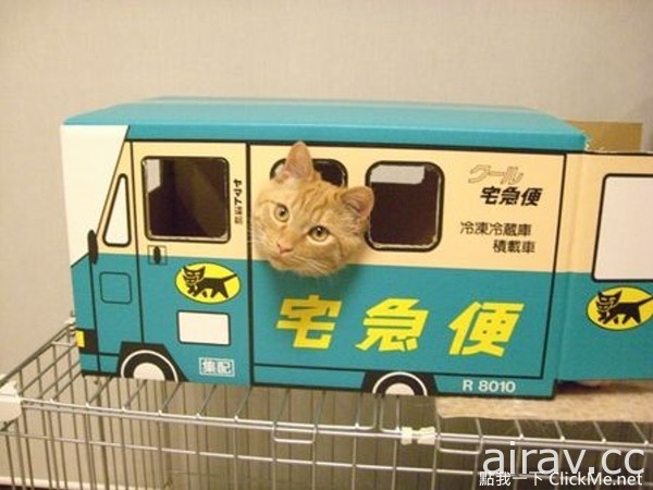 超萌《黑貓宅急便》真的聘用了貓咪送貨員了嗎！？