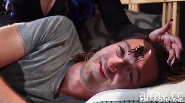 【流言破解】在你睡覺的時候，蜘蛛真的會爬進你嘴裡嗎？