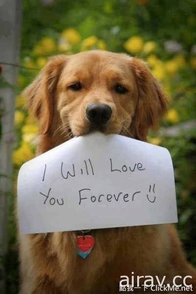 《狗狗與我的10個約定》請你不要忘記，我永遠愛你！