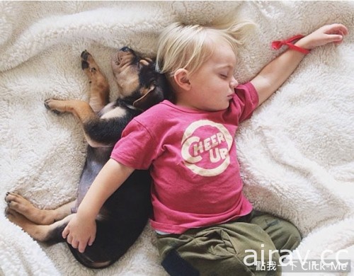 萌翻天！狗狗與寶寶的午睡時間，互相依偎超有愛！