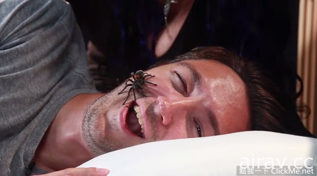 【流言破解】在你睡觉的时候，蜘蛛真的会爬进你嘴里吗？