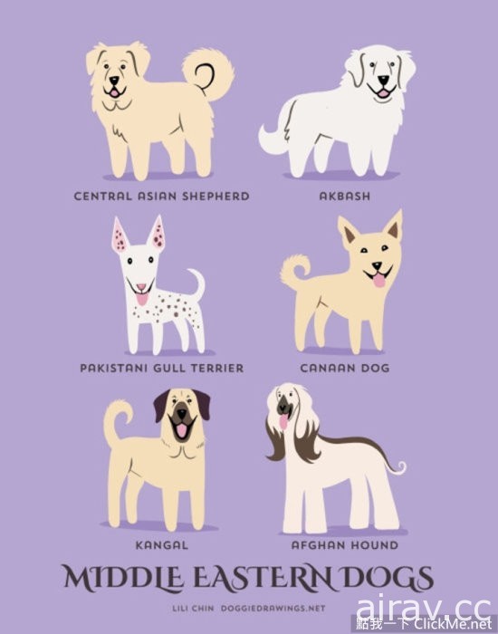 《世界狗狗品种指南》你家的毛小孩是哪一国的呢？