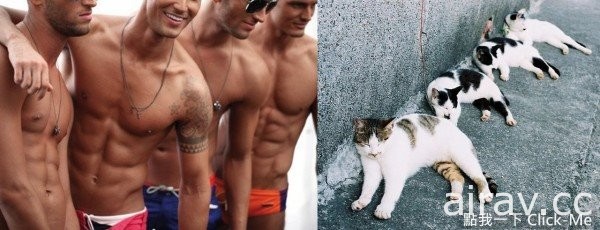 《貓一樣的男人》男人做出跟貓一樣的動作，女人受得了嗎？