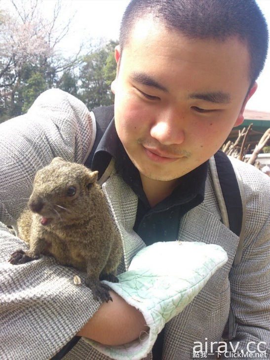 治癒系小動物王國登場！日本「松鼠花園」讓所有遊客萌到流鼻血！