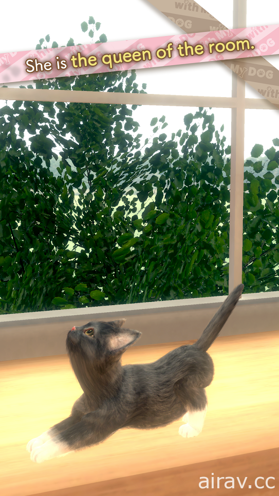 宠物养成模拟游戏《with My CAT》将于 4 月 5 日推出 体验养育幼猫的生活