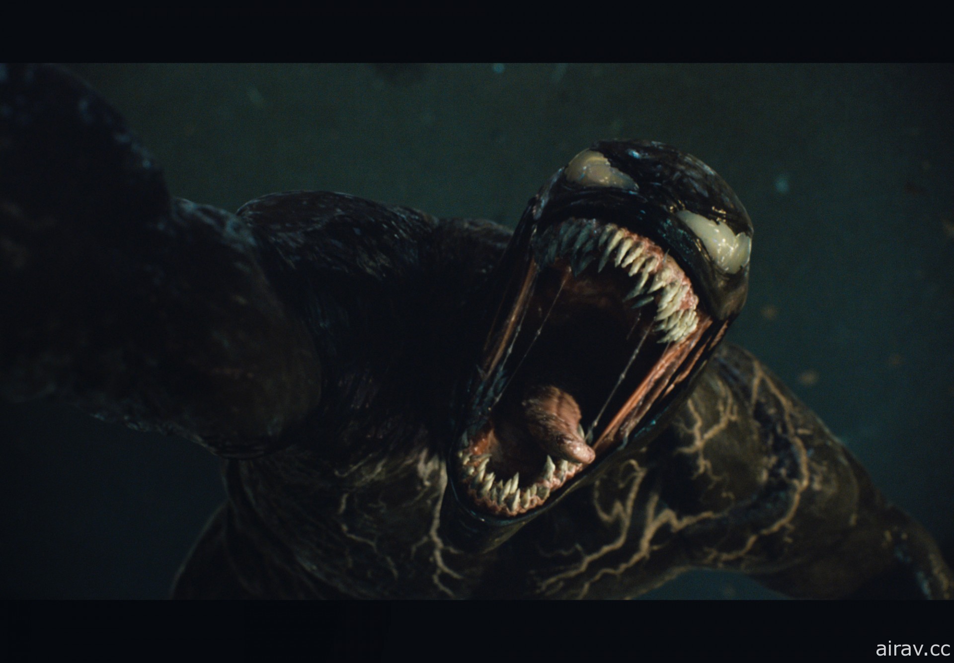 《猛毒 2：血蜘蛛》釋出正式預告影片 9 月 16 將在台上映