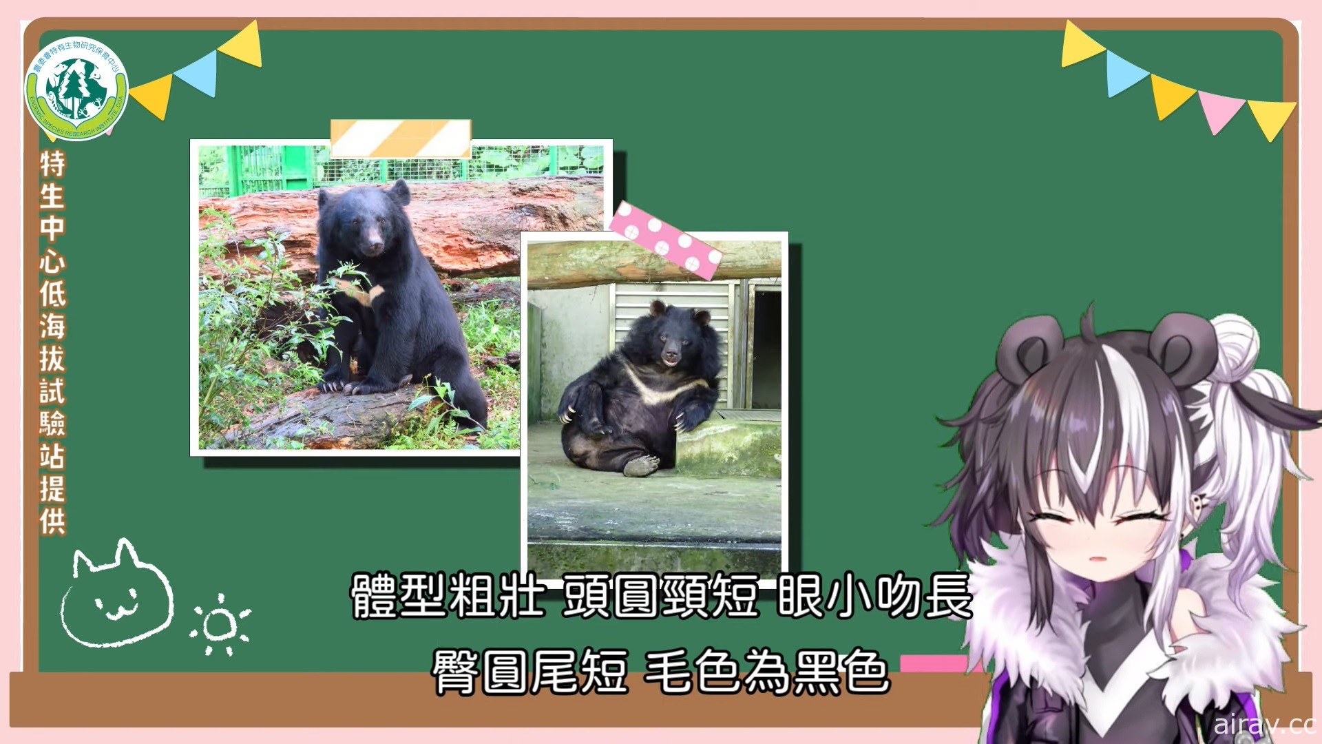 臺灣黑熊也當 Vtuber？虛擬偶像「歐貝爾」推廣黑熊保育知識