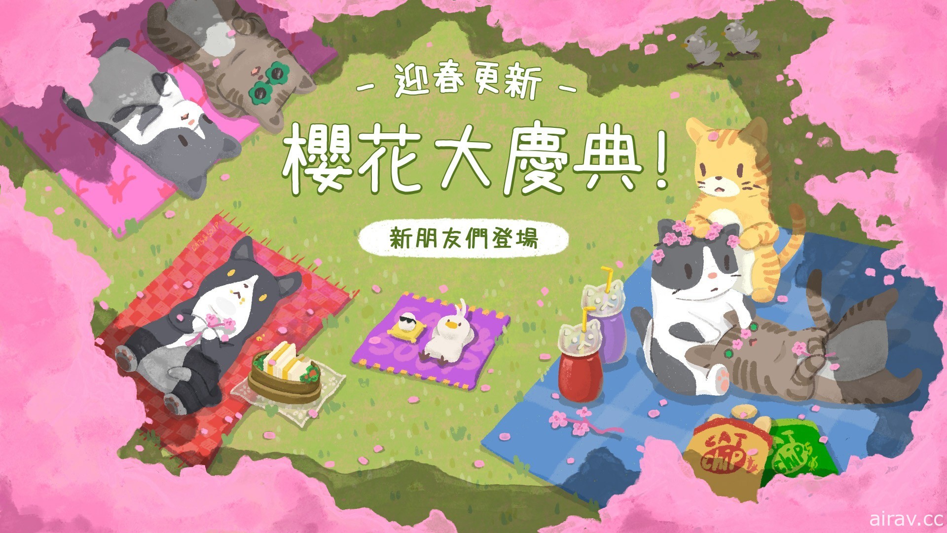 《貓咪和湯》迎春櫻花活動開跑 收集櫻花花瓣製作活動道具