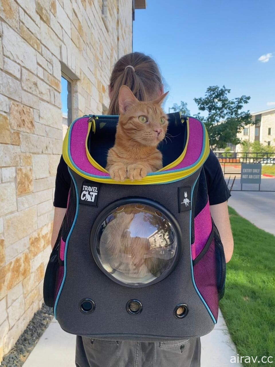 《浪貓》宣布跨界合作 推出聯名限量版貓咪旅行背包與胸背帶